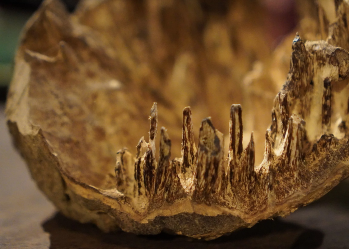 trầm hương thiên nhiên